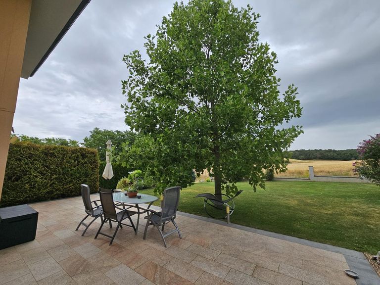 Garten (13)
