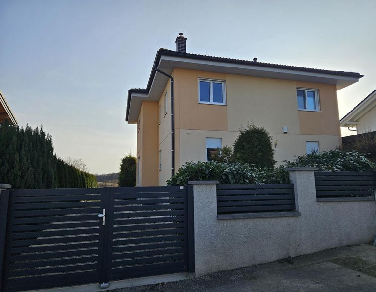 Straßenansicht Haus (2)