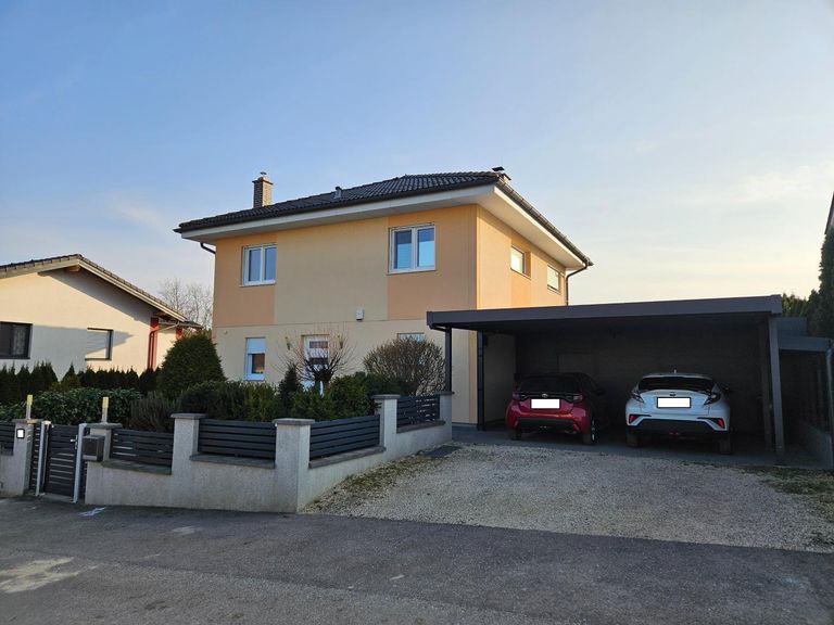Straßenansicht Haus (1)