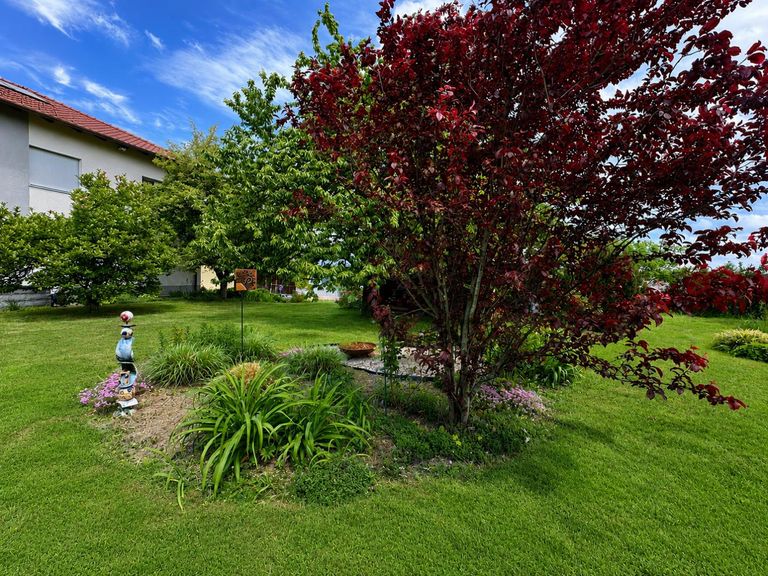 Garten mit Parkflair