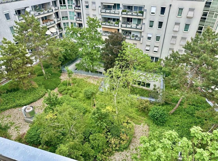 Ausblick