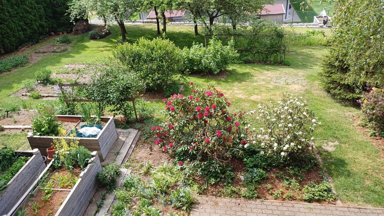 5_Garten