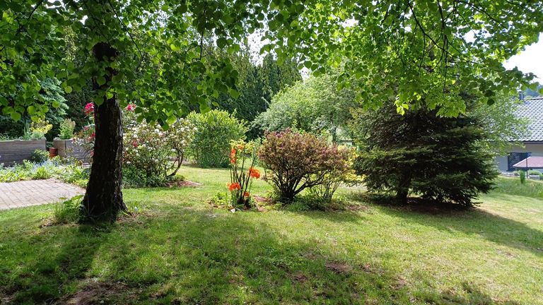10_Garten