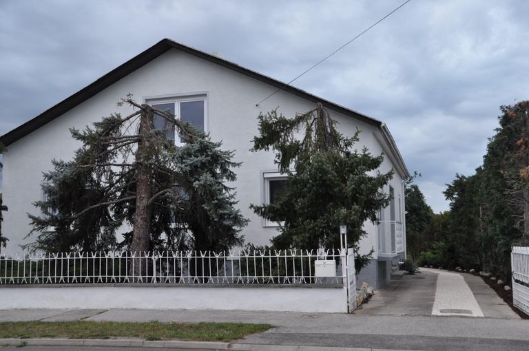 Haus