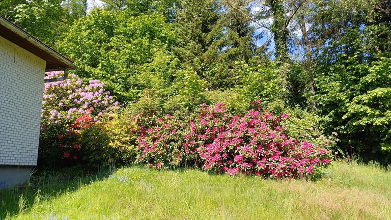 Bungalow Engelhartszell (3)