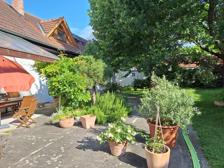 Innenhof_Sommer