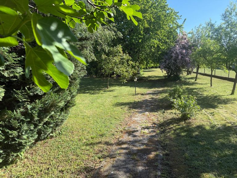 großer Garten mit Biotop