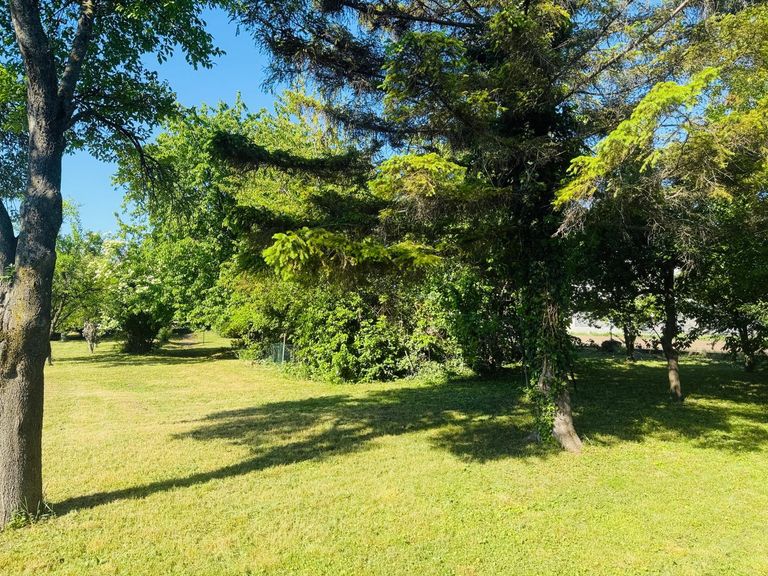 traumhafter Garten mit Altbaumbestand
