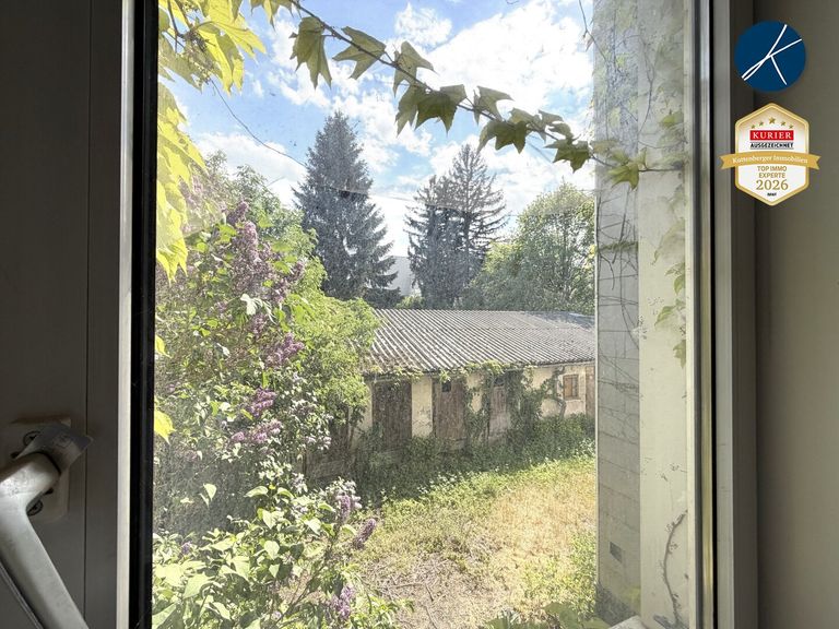 Ausblick ins Grüne