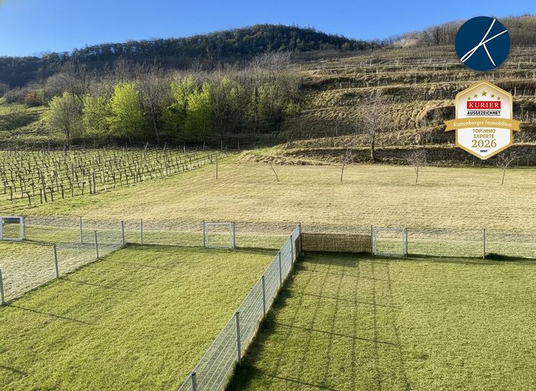 Blick in die Rossatzer Weinberge
