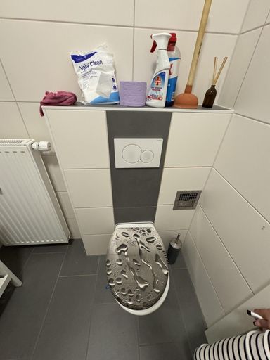 6 WC IMG_3285