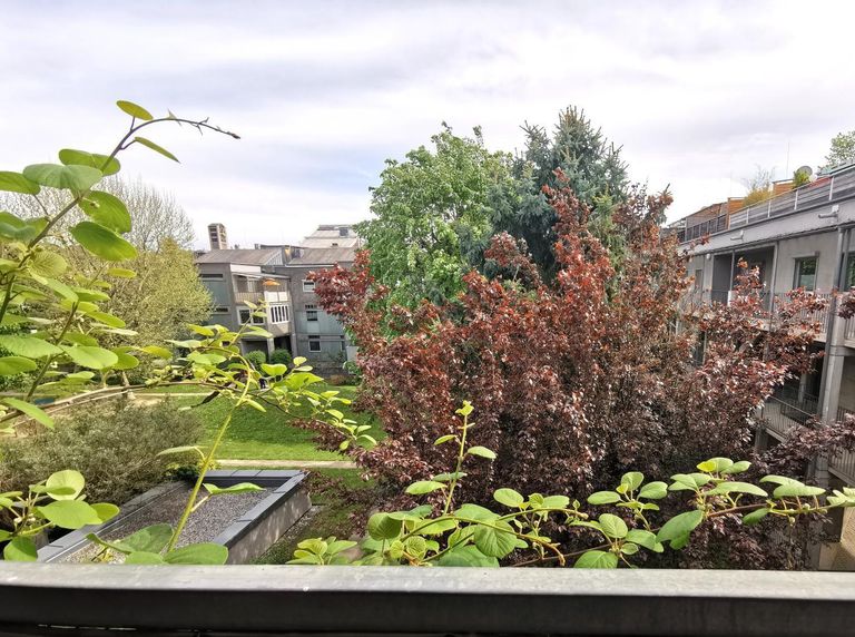 Ausblick Balkon Untergeschoss