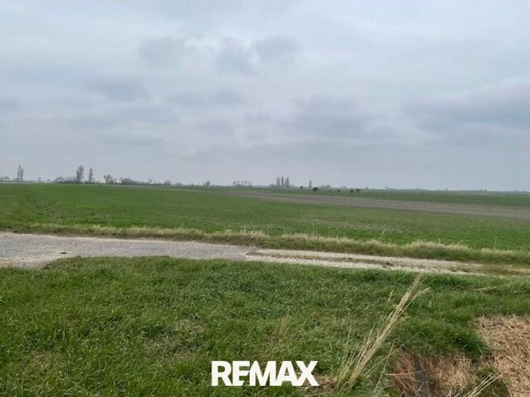 Landwirtschaftliches Grundstück Podersdorf