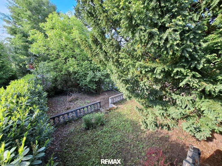 Gartenblick vom Balkon