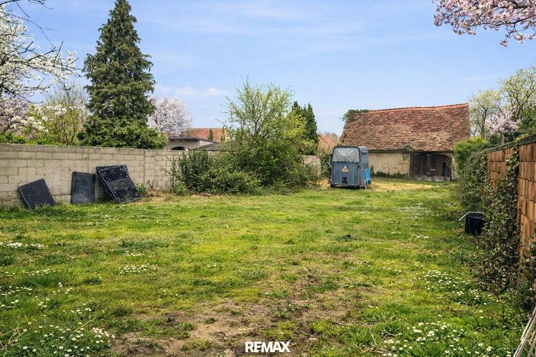 6 Hauptgarten mit Scheune