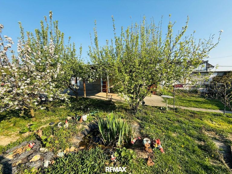 schön angelegter Garten 