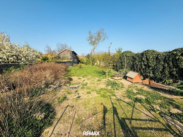 hinterer Garten ehemaliger Hühnerauslauf