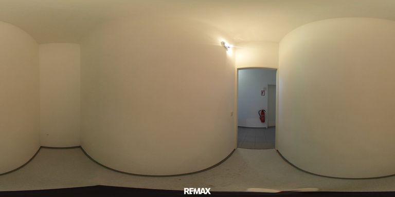 R0011006