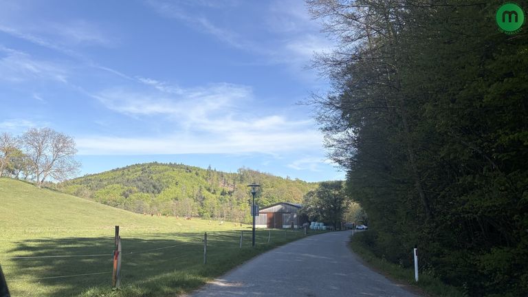 Ruhelage im Grünen