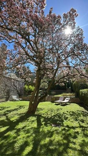 PÖ51 Garten 2