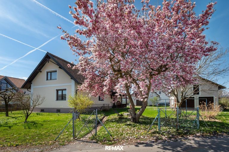 Im Garten 