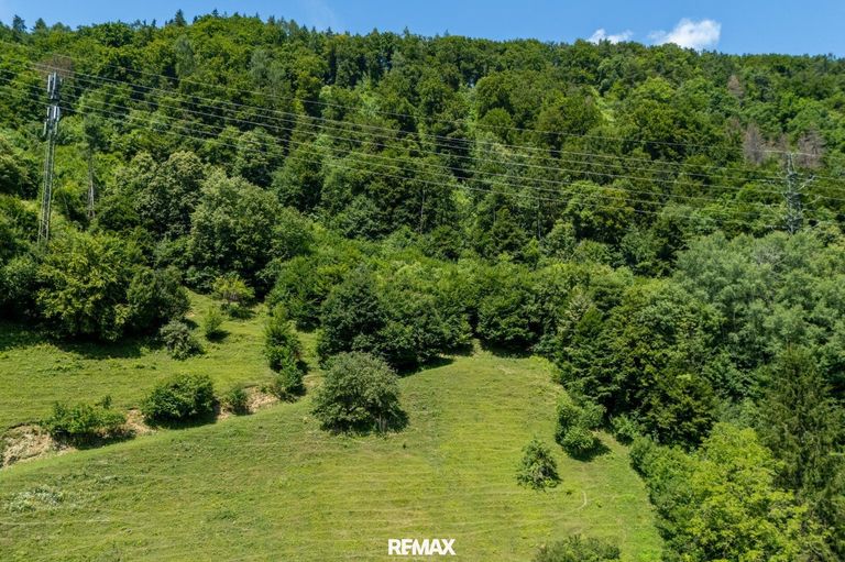 Waldfläche