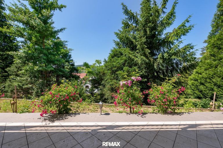 Blick von der Terrasse 