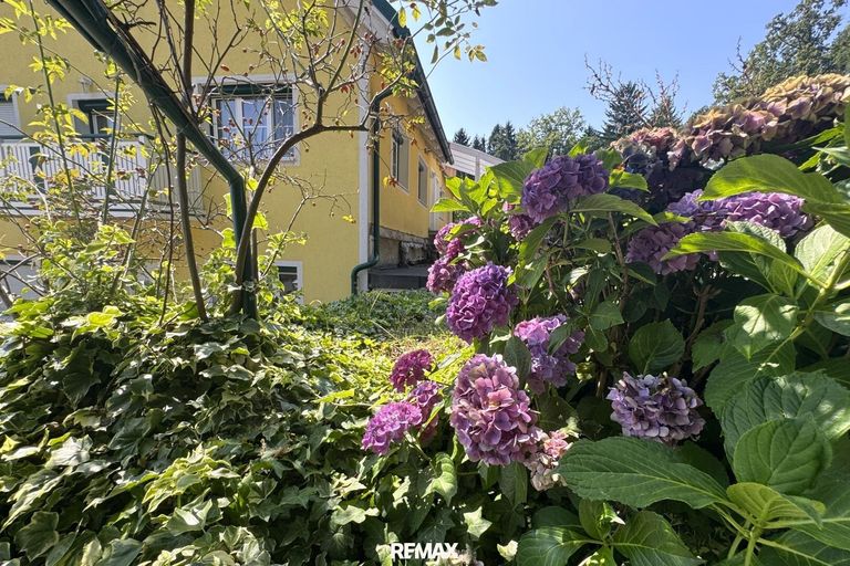Blumen