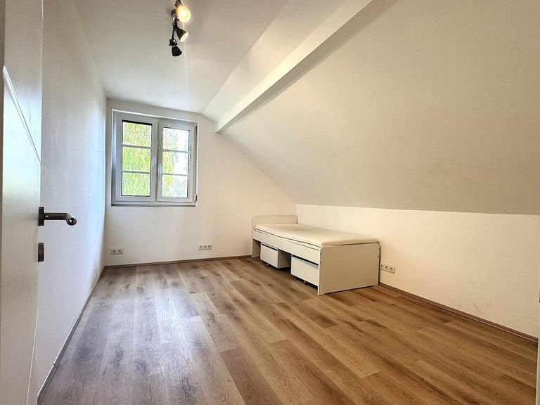 Zimmer1