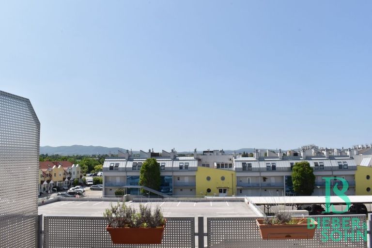 Ausblick