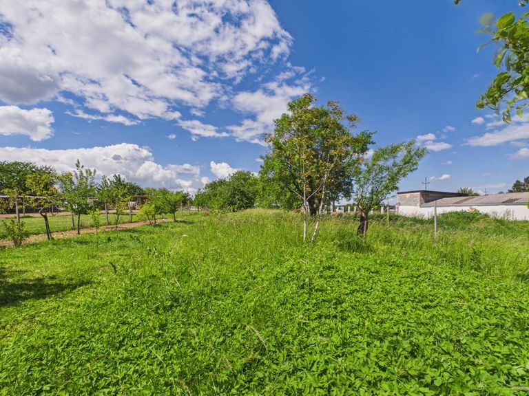Garten2