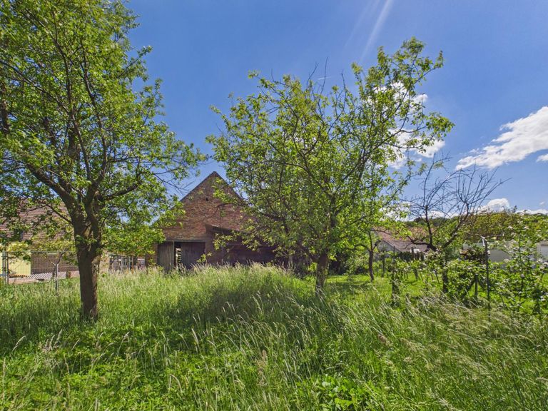 Garten1