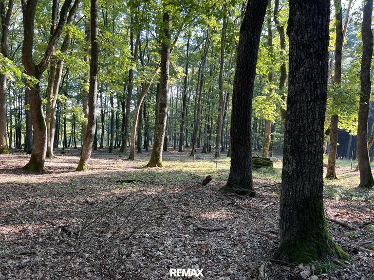 Natur spüren