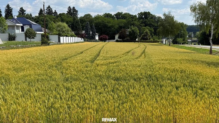 Grundstück