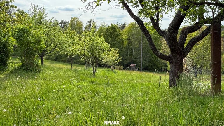 Traumgarten
