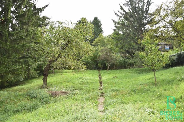 Garten/Bauland