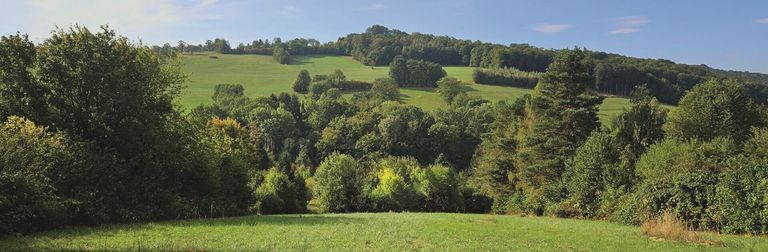 Ausblick
