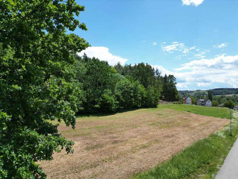 DJI_0965