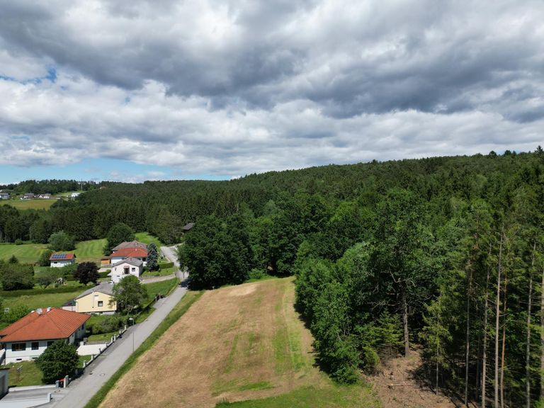DJI_0968