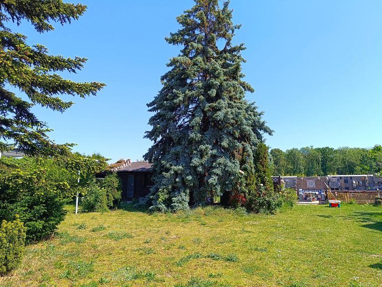 10 2285 Leopoldsdorf im Marchfelde Gänserndorf Bau