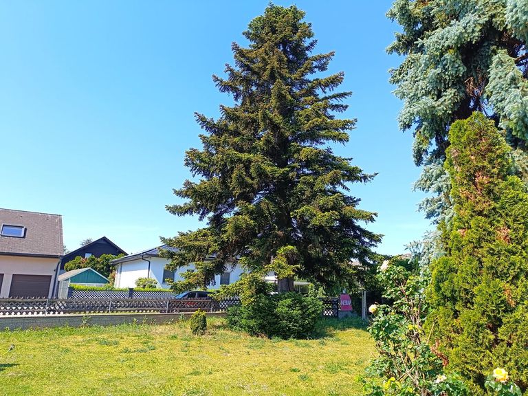 8 2285 Leopoldsdorf im Marchfelde Gänserndorf Baug