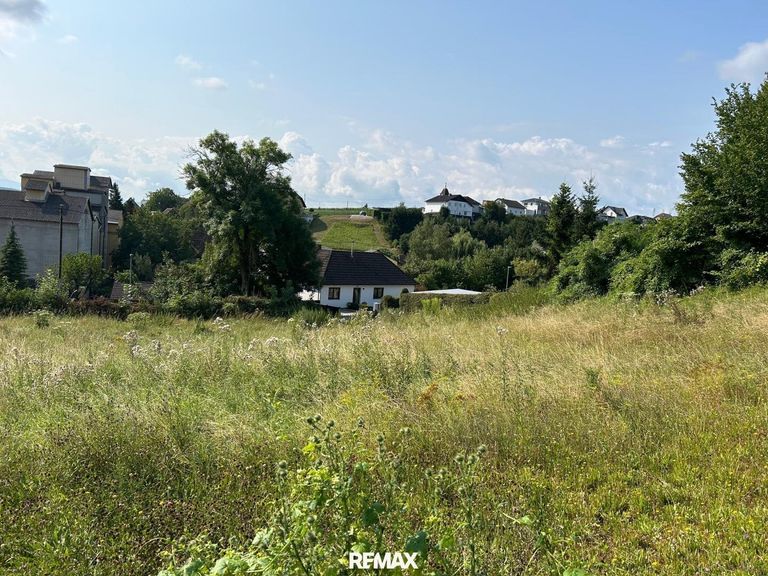 Foto von Süd