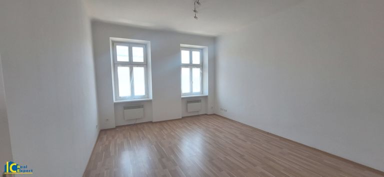 Freundlicher Wohn-Schlafraum