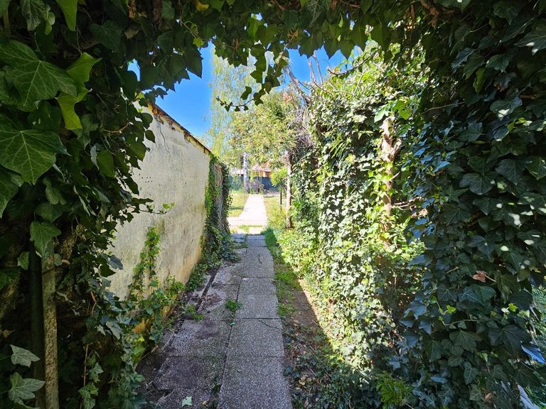 Garten (1)
