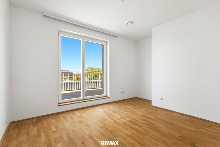 Zimmer DG