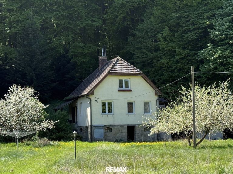 Frontansicht