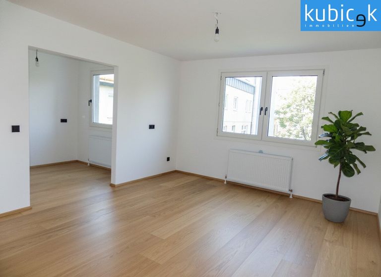 Wohn-/Schlafbereich mit Blick in die Küche