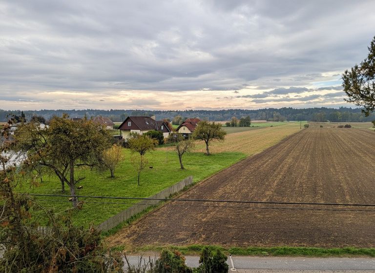Ausblick in grüne Nachbarschaft!