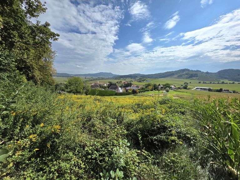 Grundstück