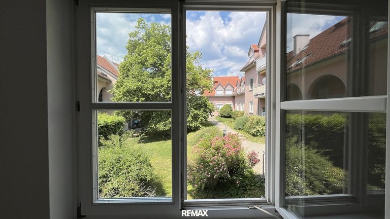 Ausblick